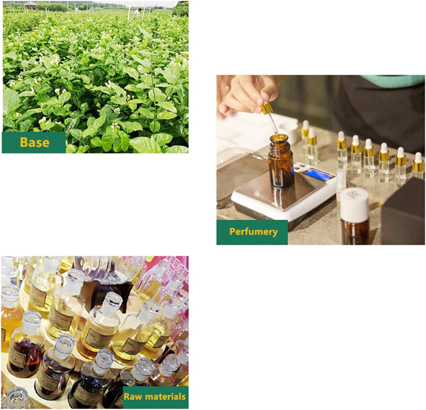 Kinysuky car Air Fresheners for 577/579 Dedicated Perfume Refill - 45ml - Can be Used for 2~6 Months - Made with Natural Plant Extracts - French Imported Fragrance - 3 Varied Scents Available